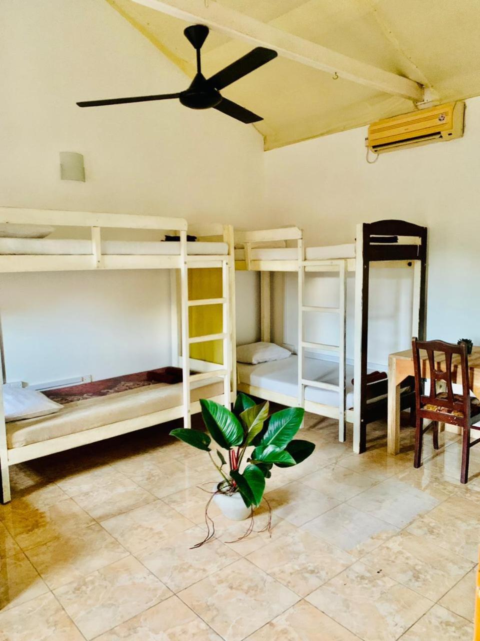 Dreamy Surf House Hotell Weligama Eksteriør bilde